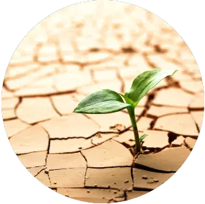Hm-app-slide-Drying-dehydration.webp