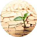 Hm-app-slide-Drying-dehydration.webp