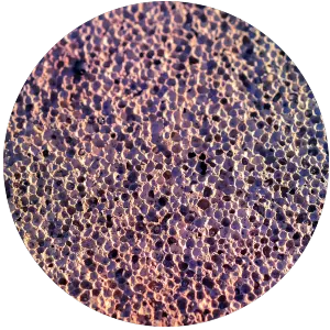 Porosity & Surface Area